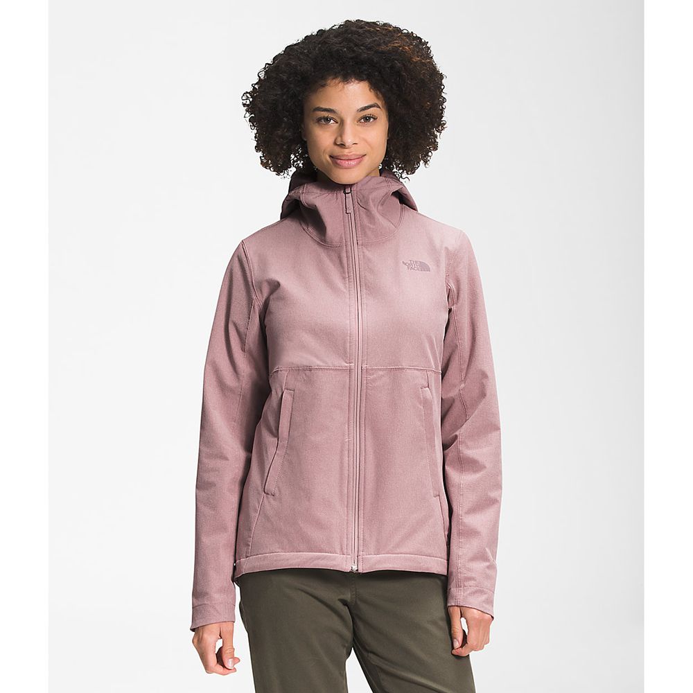 The North Face Hoodie Womens Australia - The North Face Shelbe Raschel Light Purple (QAL-384521)